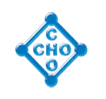 Cho Cho Company Limited